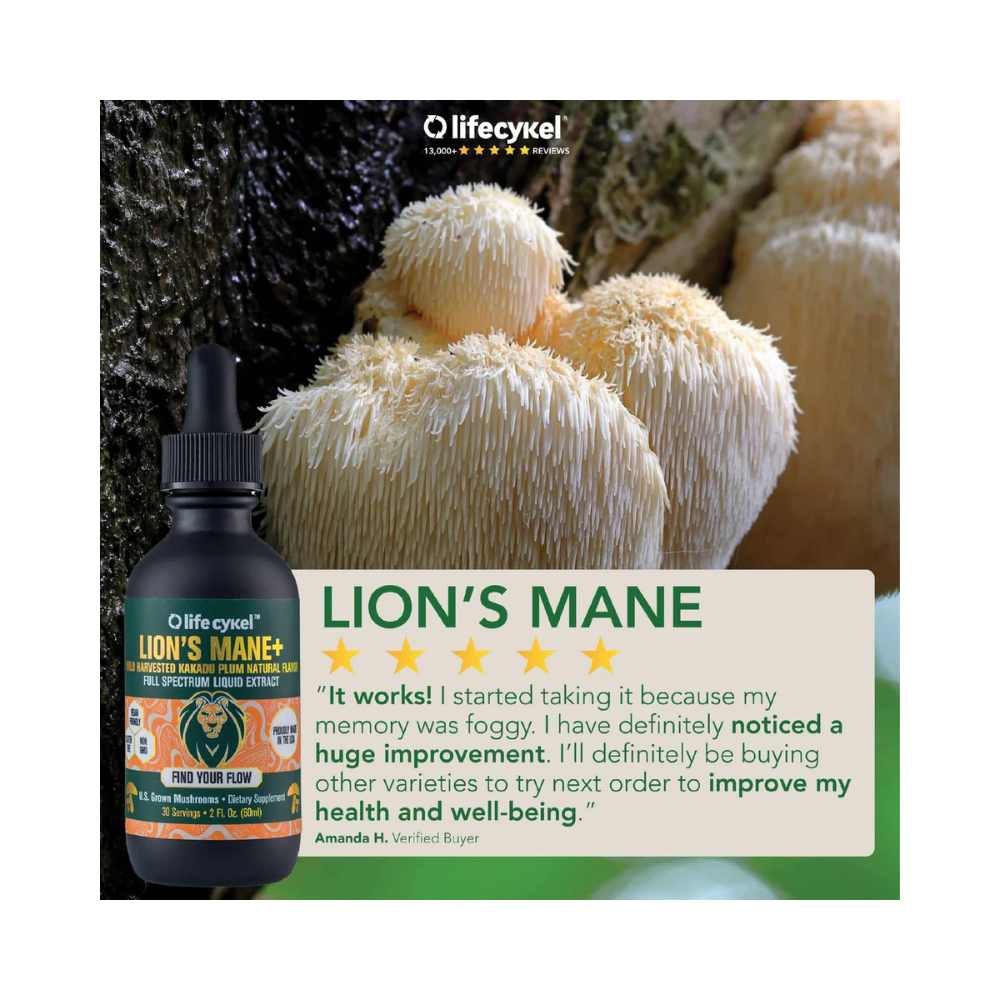 Lion's Mane+ Liquid Double Extract