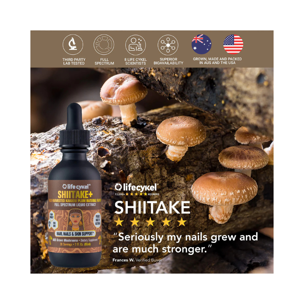Shiitake+ Liquid Double Extract
