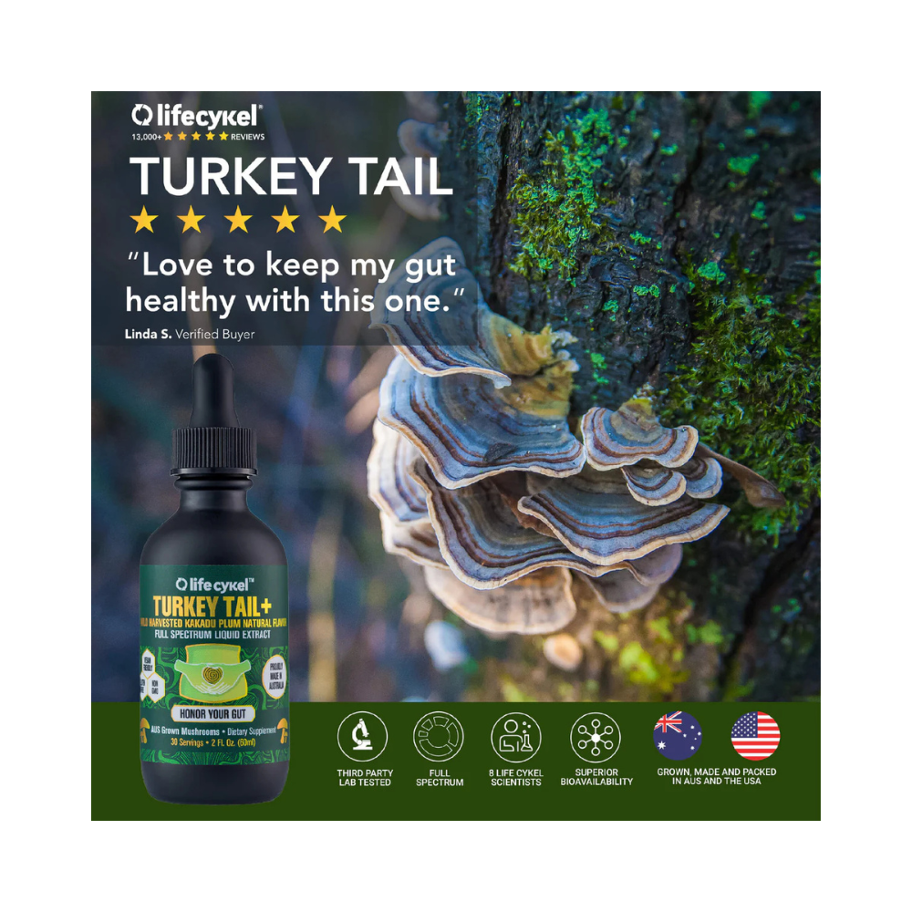 Turkey Tail+ Liquid Double Extract
